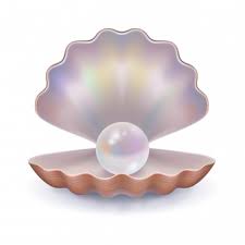 pearl in shell
