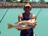Red Snapper