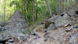 rocky track rocky track