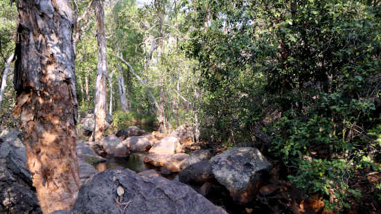 rocky pools rocky pools