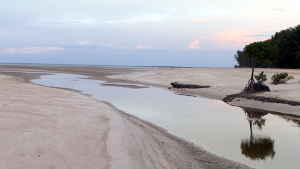 Sandy Creek crossing the beach