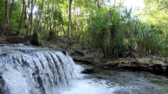 Cool spring waterfall Cool spring waterfall