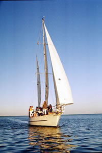 Starchaser under sail in Darwin Habour Starchaser under sail