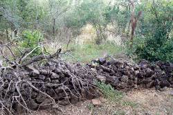 Stone fence from early settlement. Stone fence from early settlement.