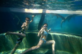 swimming with crocodiles