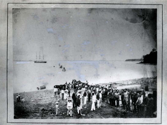 landing the cable Darwin 1871