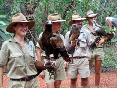 Spectacular Raptors and their Handlers