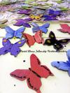 Mental Health Week Butterfly Project