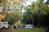  Shady campsites for the campers