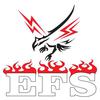 Electrical and Fire Services Pty Ltd