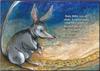 Baby Bilby - Illustrated by Jann Forge