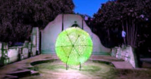 Tropical Light Display Tropical Light Display