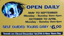 Tunnel Opening Times & Cost Tunnel Opening Times & Cost