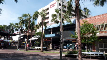 Palm trees in new Mall
