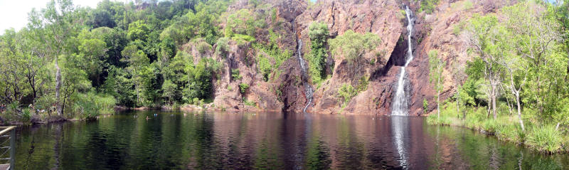 wangi falla swimmers