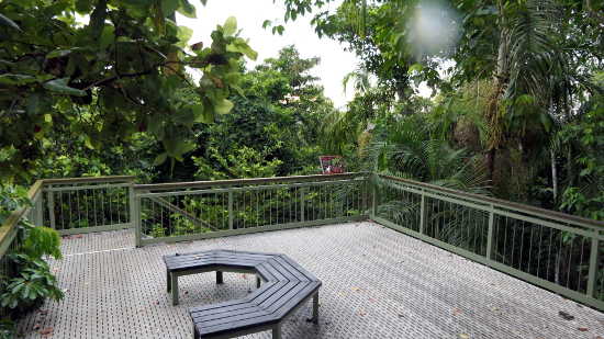 Treetop viewing platform