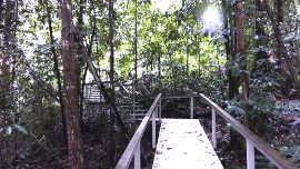 wangi stairs