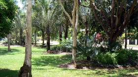 A small Wanguri Public Garden A small Wanguri Public Garden