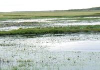 Wetlands stretch into the distance Wetlands stretch into the distance
