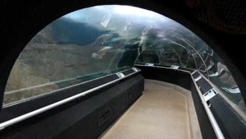 walk through aquarium