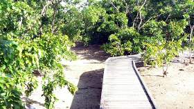 Wooden boardwalks take you over
shallow water courses... Wooden boardwalks wind over
shallow water courses...