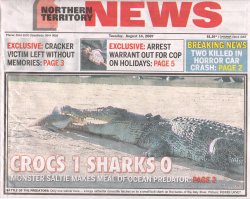 crocodile eats shark