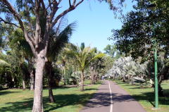 Nightcliff Bike Track